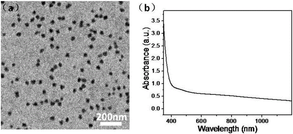 Metal ion copper-doped polyaminopyrrole composite nano-particle diagnosis and treatment reagent as well as preparation method and application thereof