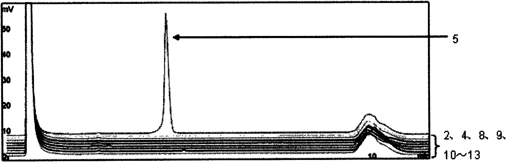 Detection kit for common campylobacter in foods and detection method thereof