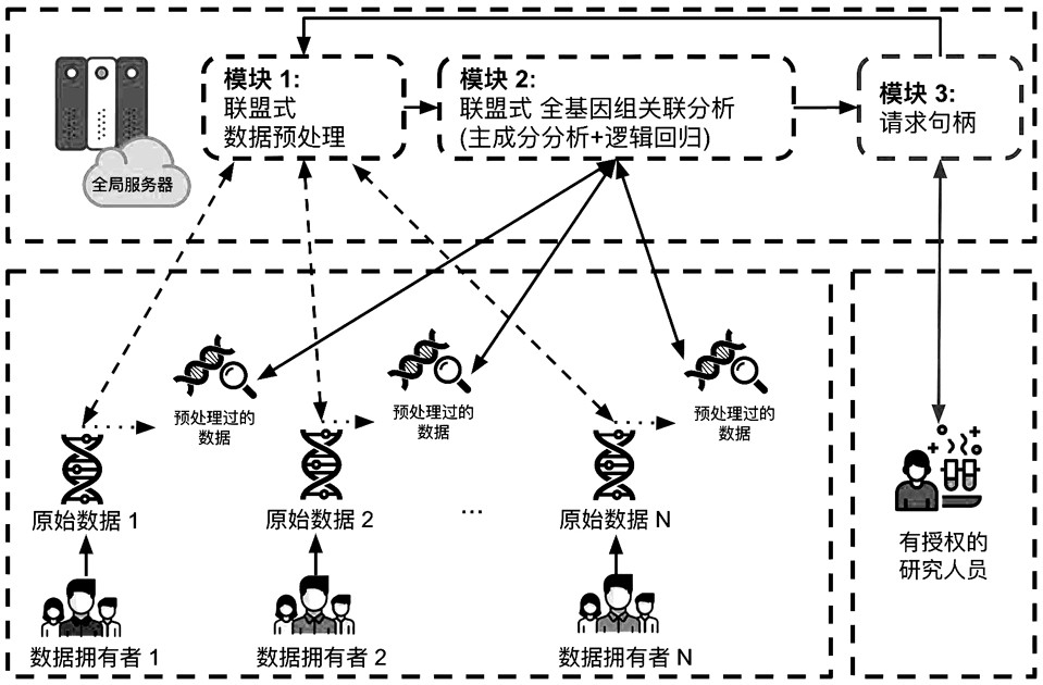 Privacy protection-based alliance learning system and method for realizing whole genome association analysis