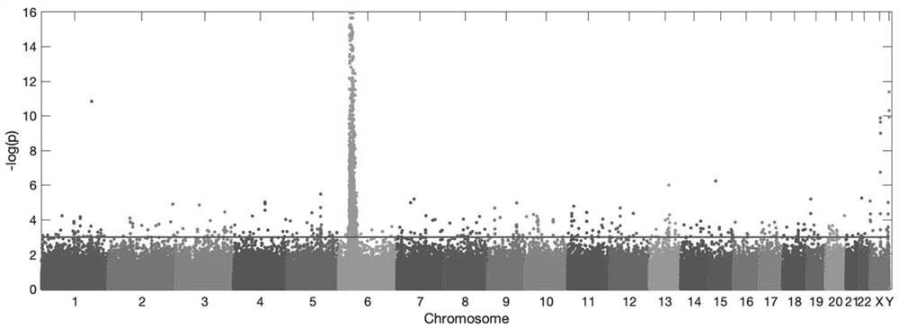 Privacy protection-based alliance learning system and method for realizing whole genome association analysis