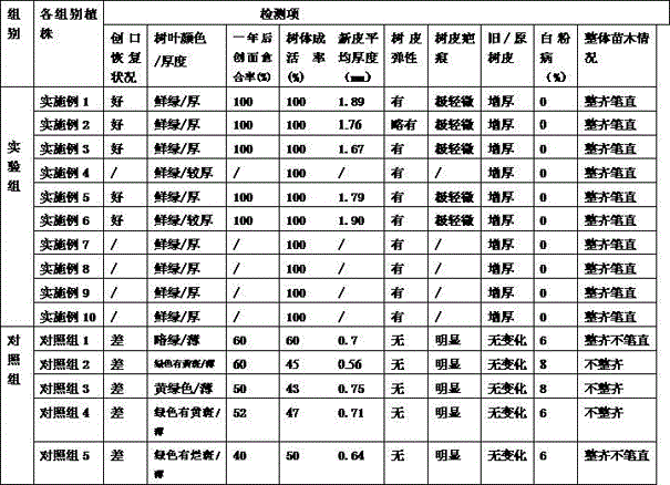 Plant growth promoter for promoting restoring, growing and regeneration of barks and preparing method and application thereof