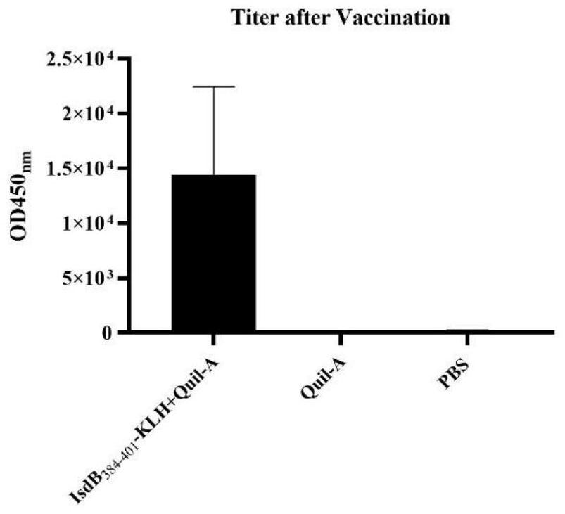 IsdB antigen epitope peptide for diagnosing or preventing staphylococcus aureus infection and application thereof