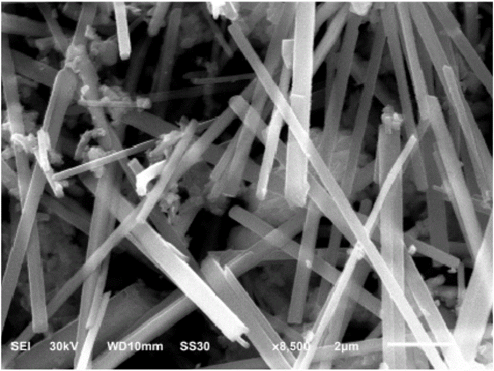 Preparation method of ferric vanadate photocatalysts