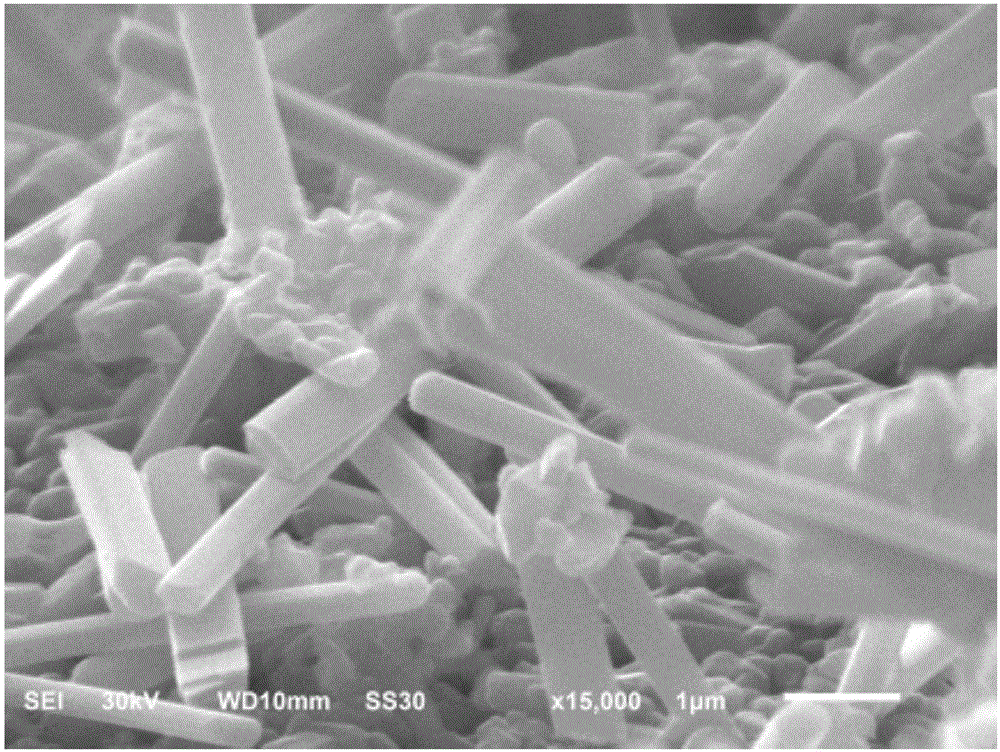 Preparation method of ferric vanadate photocatalysts