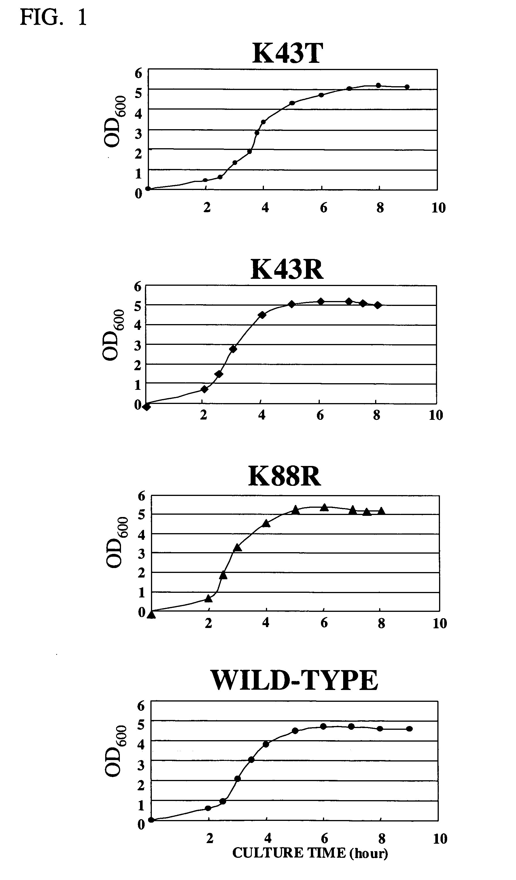 Extract of E. coli cells having mutation in ribosomal protein S12, and method for producing protein in cell-free system using the extract