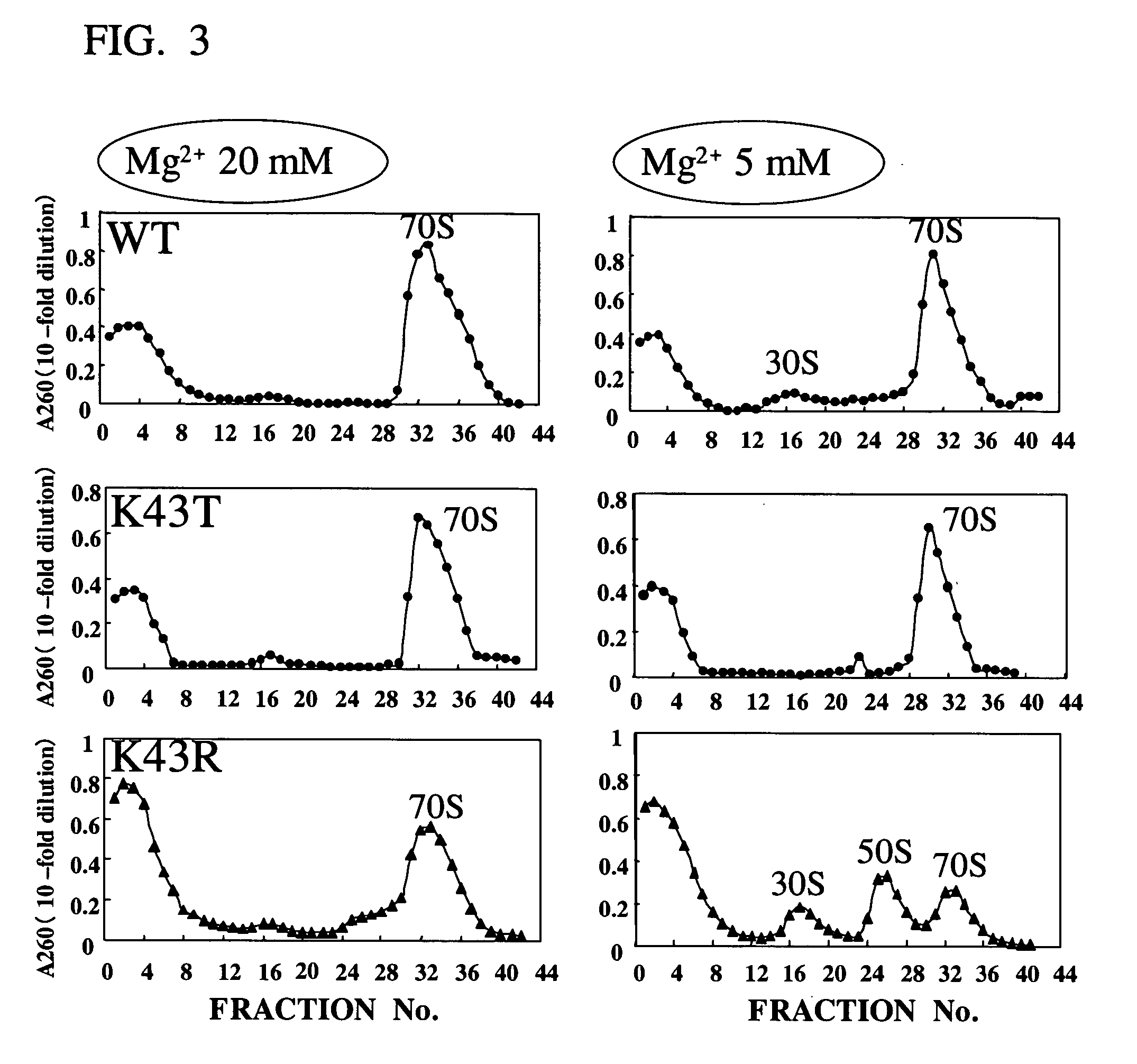 Extract of E. coli cells having mutation in ribosomal protein S12, and method for producing protein in cell-free system using the extract