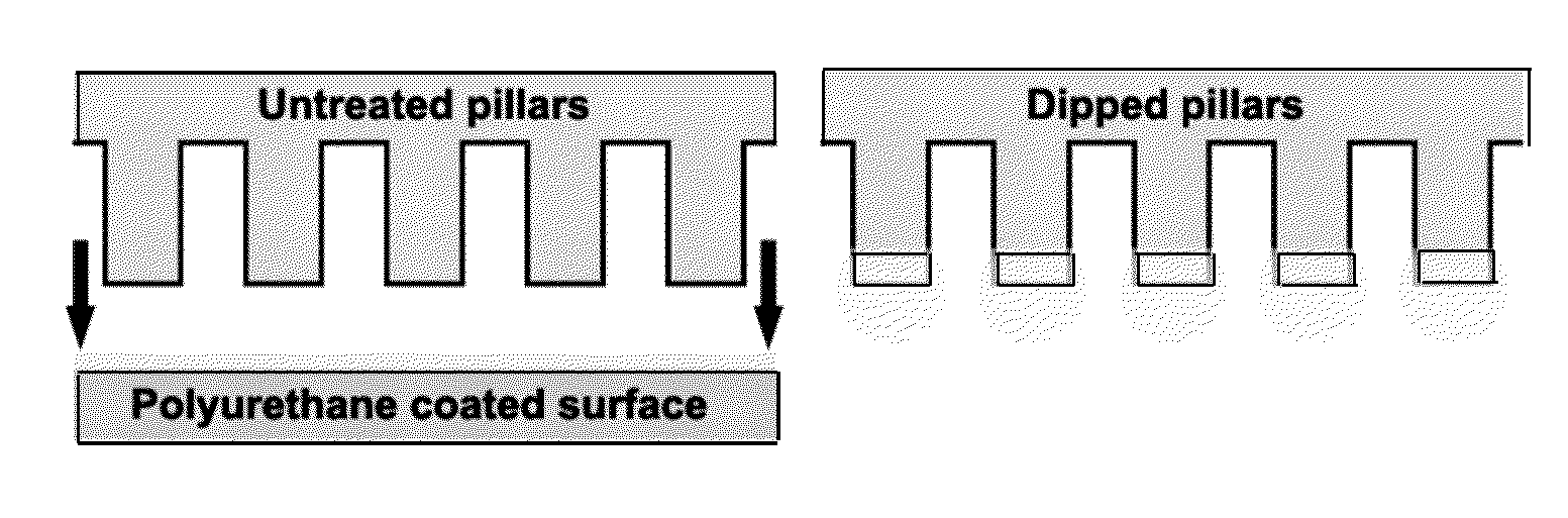 Micro-fiber arrays with tip coating and transfer method for preparing same