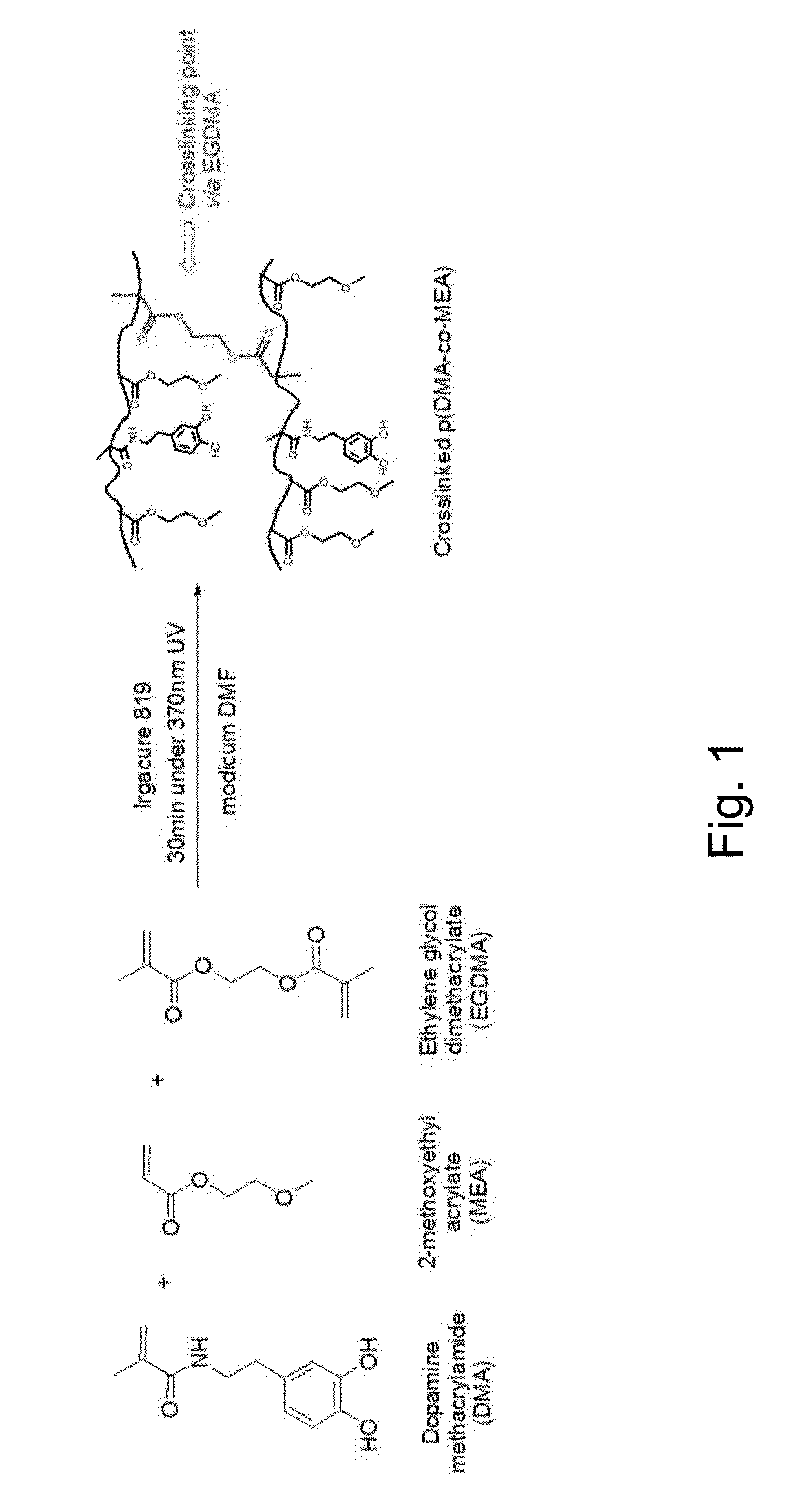 Micro-fiber arrays with tip coating and transfer method for preparing same