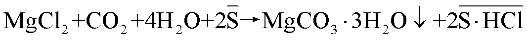 Method for preparing and synthesizing magnesium carbonate from magnesium chloride and carbon dioxide