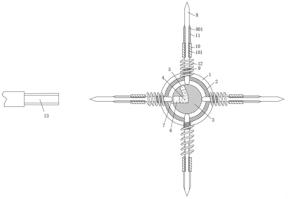 Hawthorn kernel removing processing device