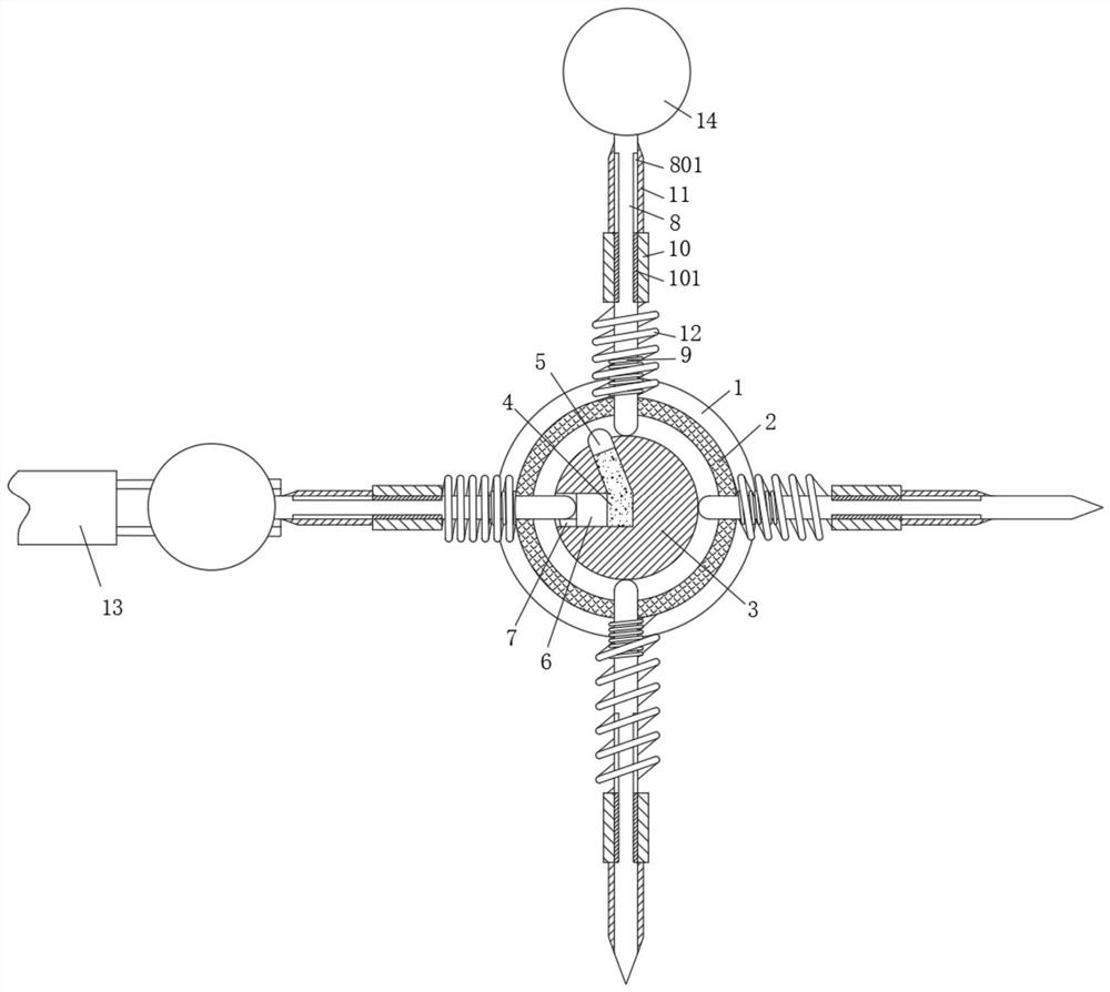 Hawthorn kernel removing processing device