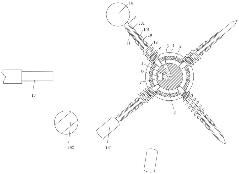 Hawthorn kernel removing processing device