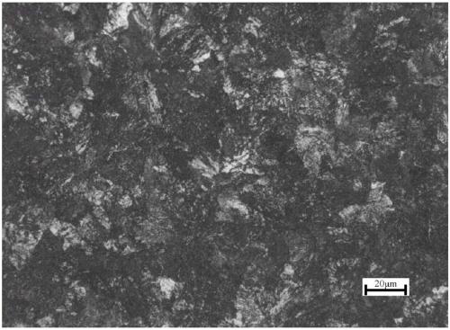 Cord steel wire rod and decarburized layer control method thereof