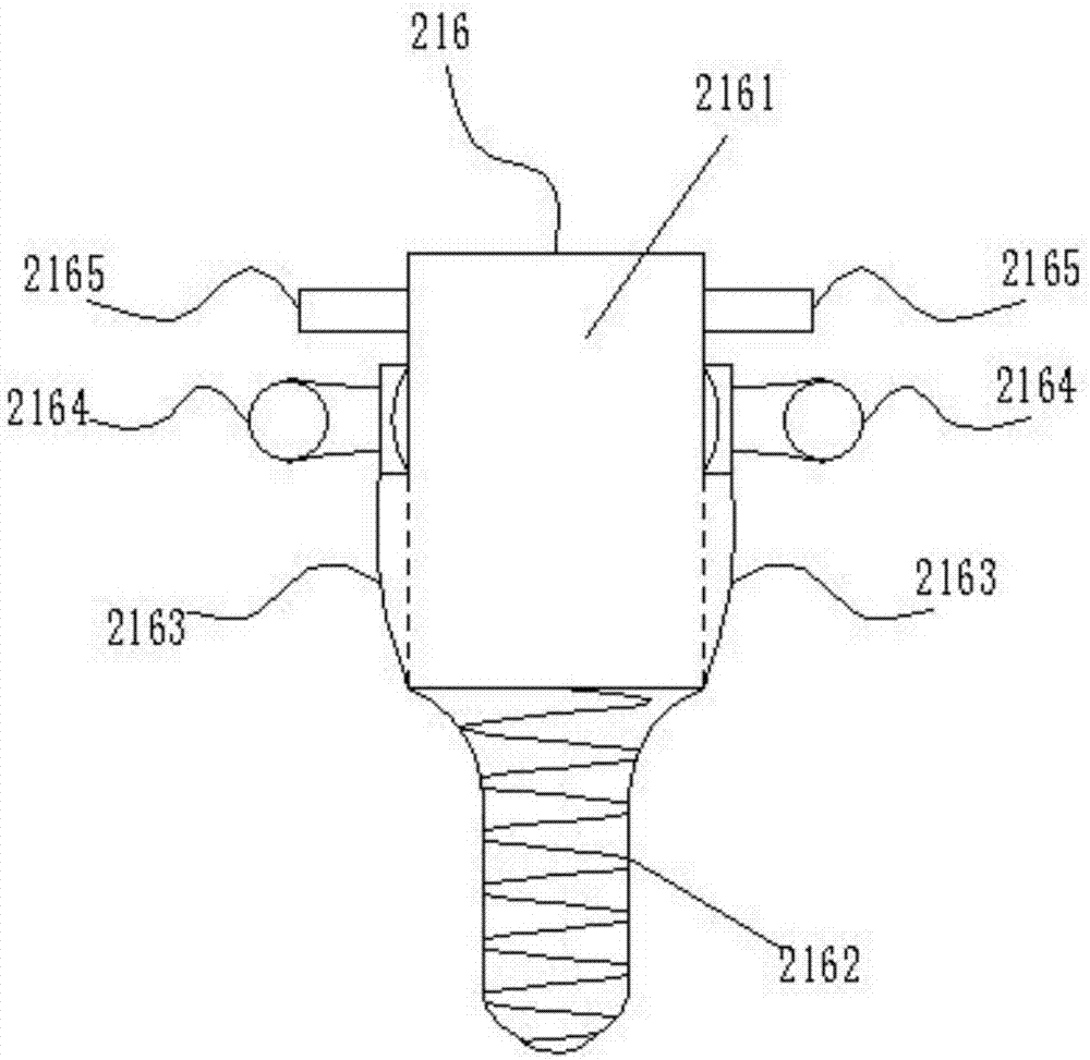 In-vitro heart constant pressure/constant flow perfusion experiment device for cardiological mammals