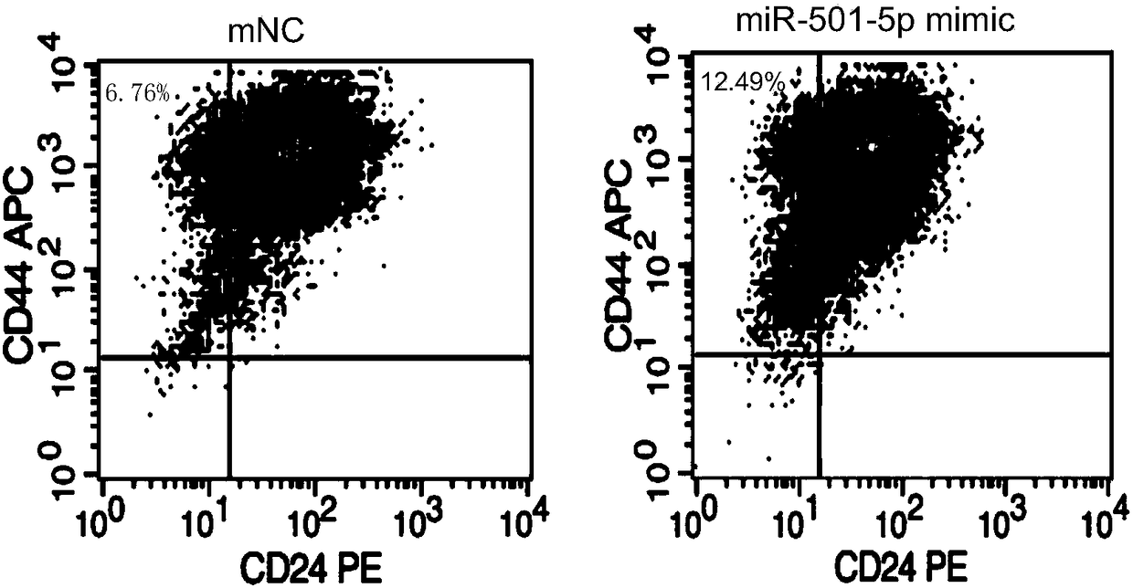 Application of reagent to preparation of drug and method of screening drug