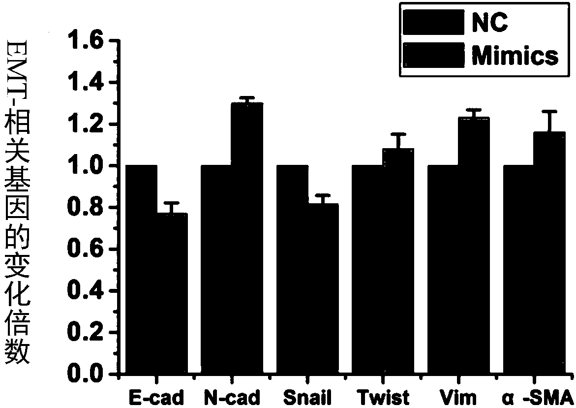 Application of reagent to preparation of drug and method of screening drug