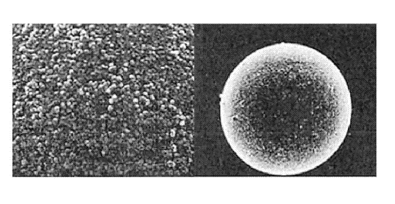 Selective complexing agent loaded graphitized carbon black and its application in palladium extraction