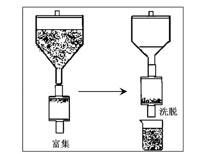 Selective complexing agent loaded graphitized carbon black and its application in palladium extraction