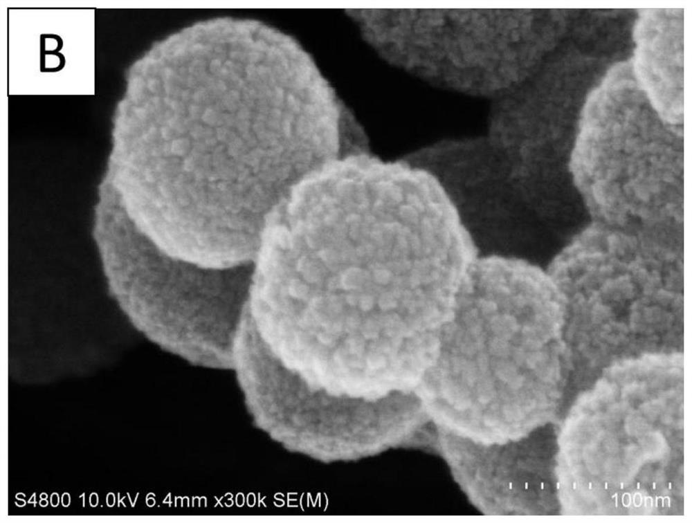 Preparation method and application of waxberry-shaped nano silicon particles