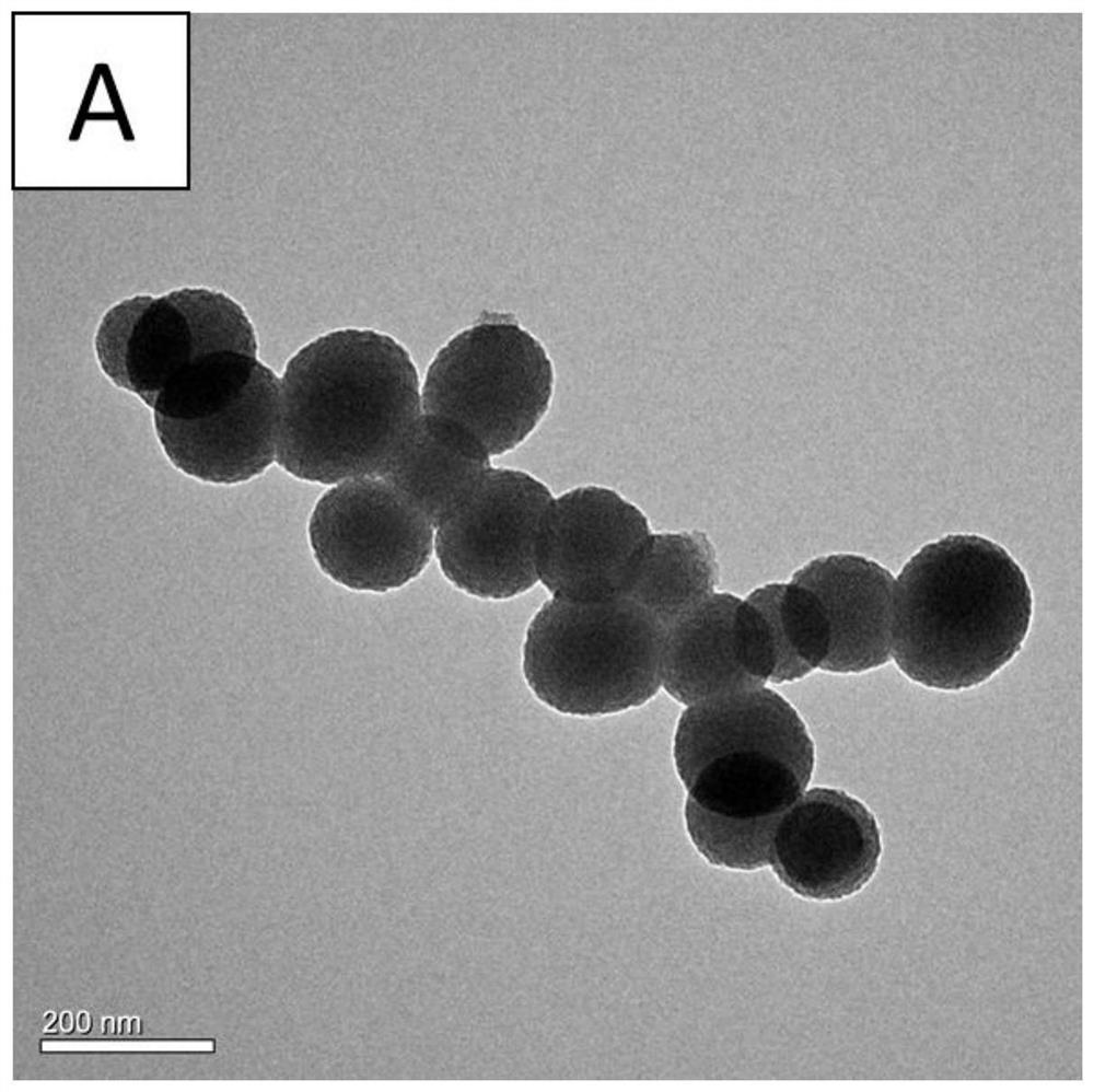 Preparation method and application of waxberry-shaped nano silicon particles