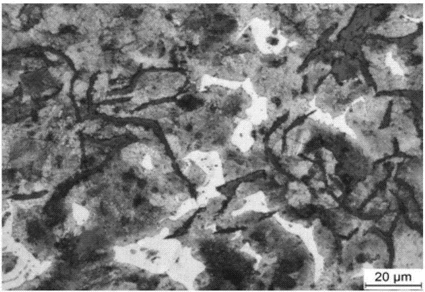 Alloy gray cast iron material for automobile brake disc, automobile brake disc and preparation method thereof