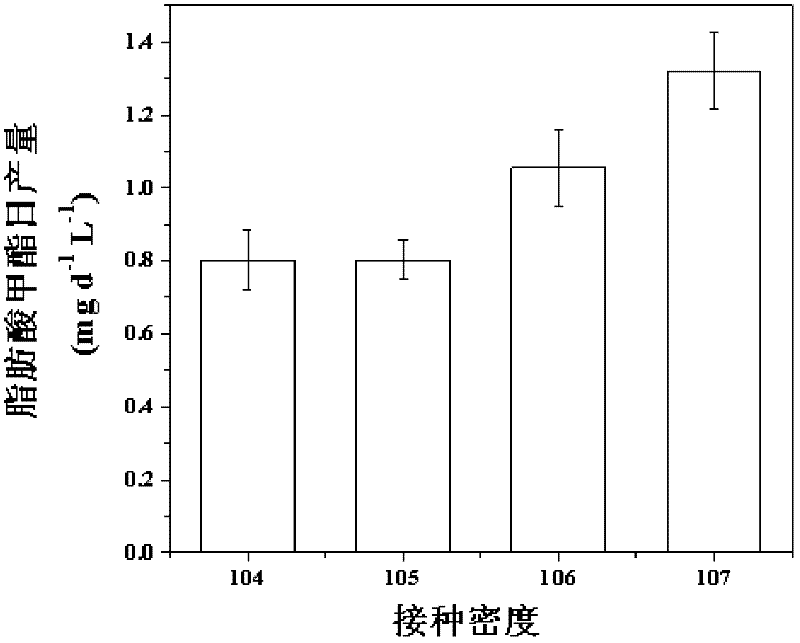 Method for improving microalgae cultivation condition by using metabonomics so as to improve oil-producing capacity