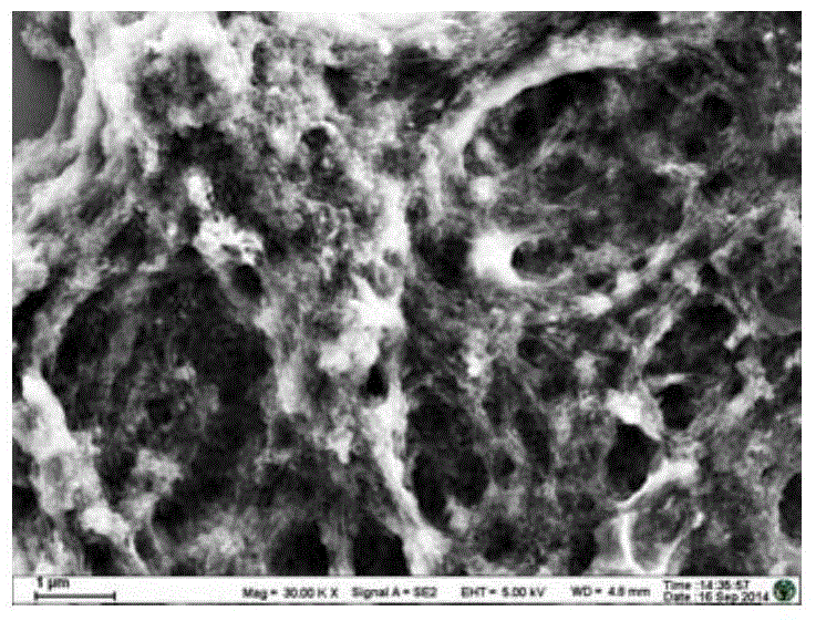 Method for preparing iron-cobalt-nitrogen codoped graphene at low temperature