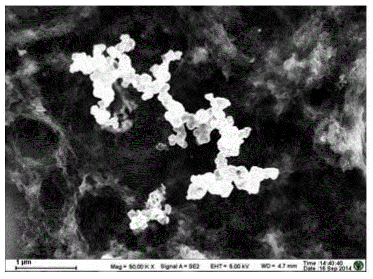 Method for preparing iron-cobalt-nitrogen codoped graphene at low temperature