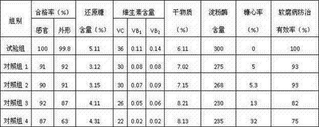 Insecticide-fertilizer for out-of-season fruit green radish and preparation method thereof