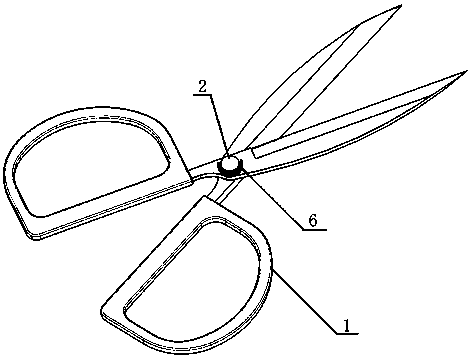 Dual-purpose scissors