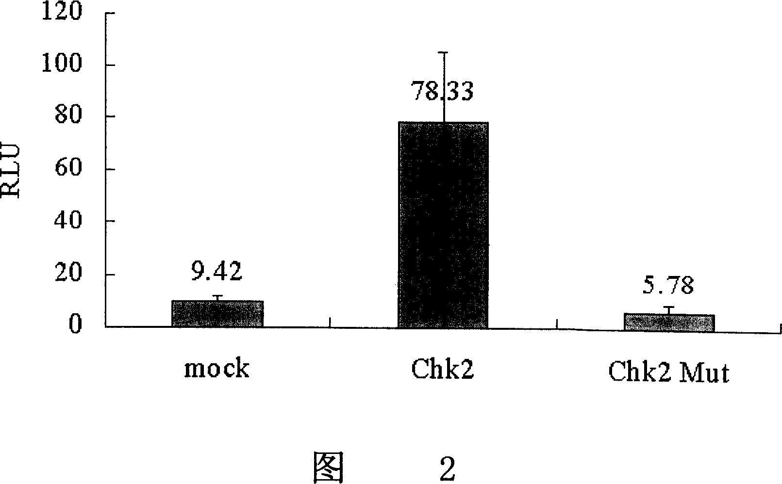 Important regulation albumen ChK2 of NF-KB signal path