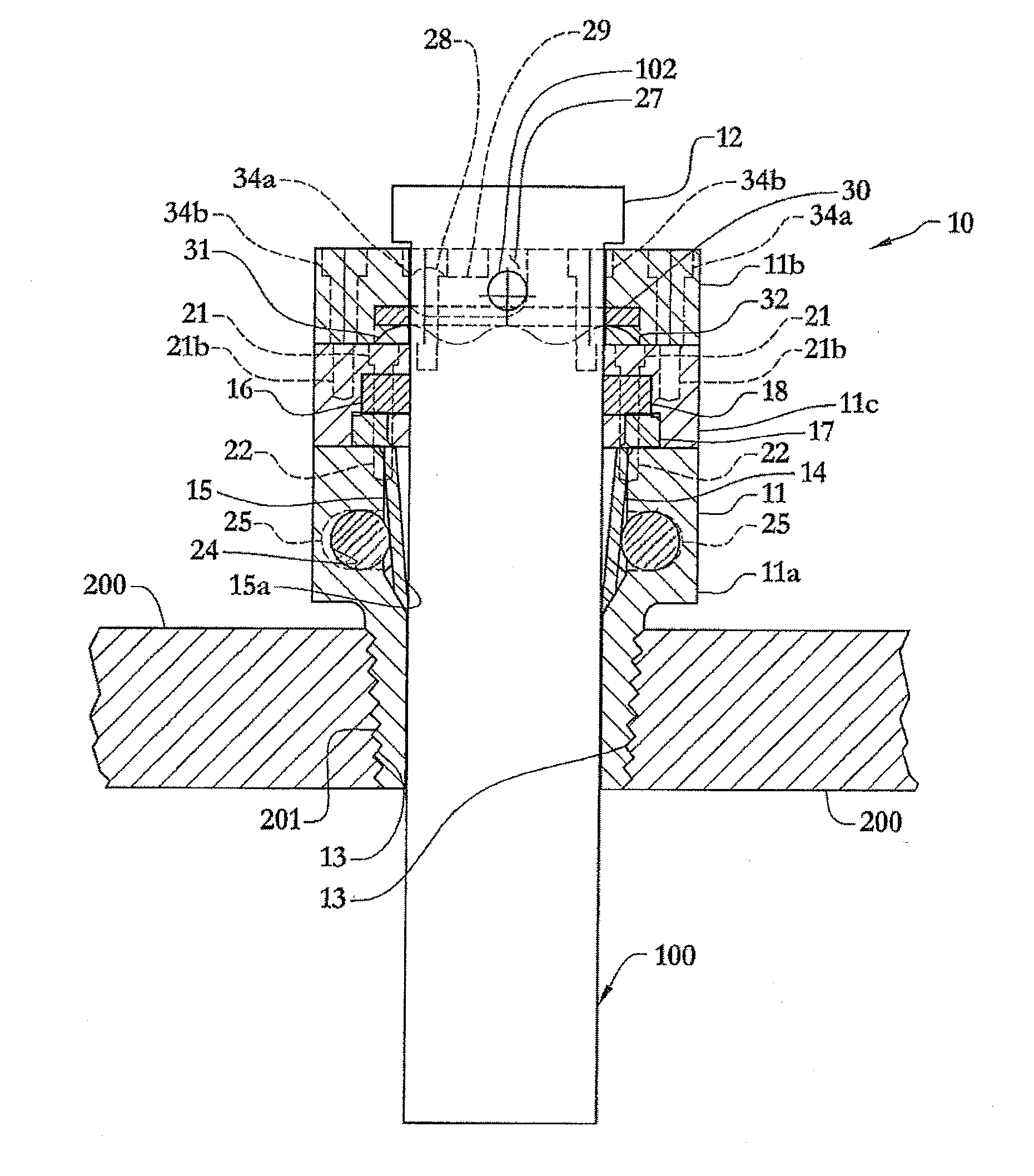 Anode device and maintenance method