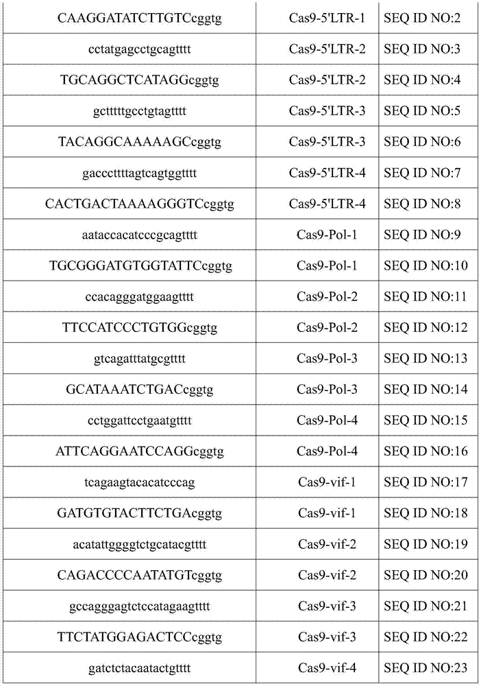 CRISPR-Cas9 system for preventing and/or treating HIV, as well as preparation method and application thereof