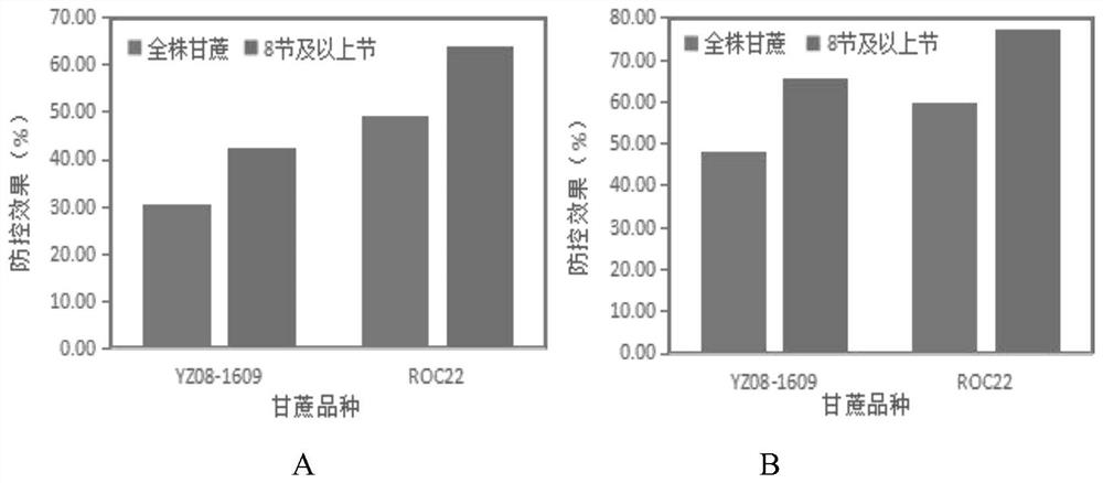 Method for evaluating stem borer prevention and control effect in middle and later periods of sugarcane growth