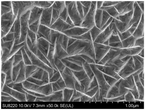 Preparation method of SnSe nanosheet