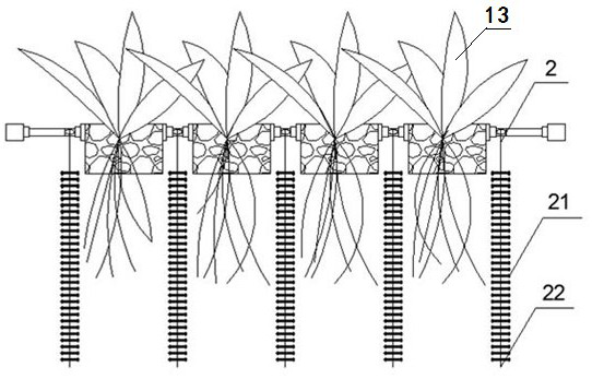 Composite ecological floating bed suspended with biofilm carrier