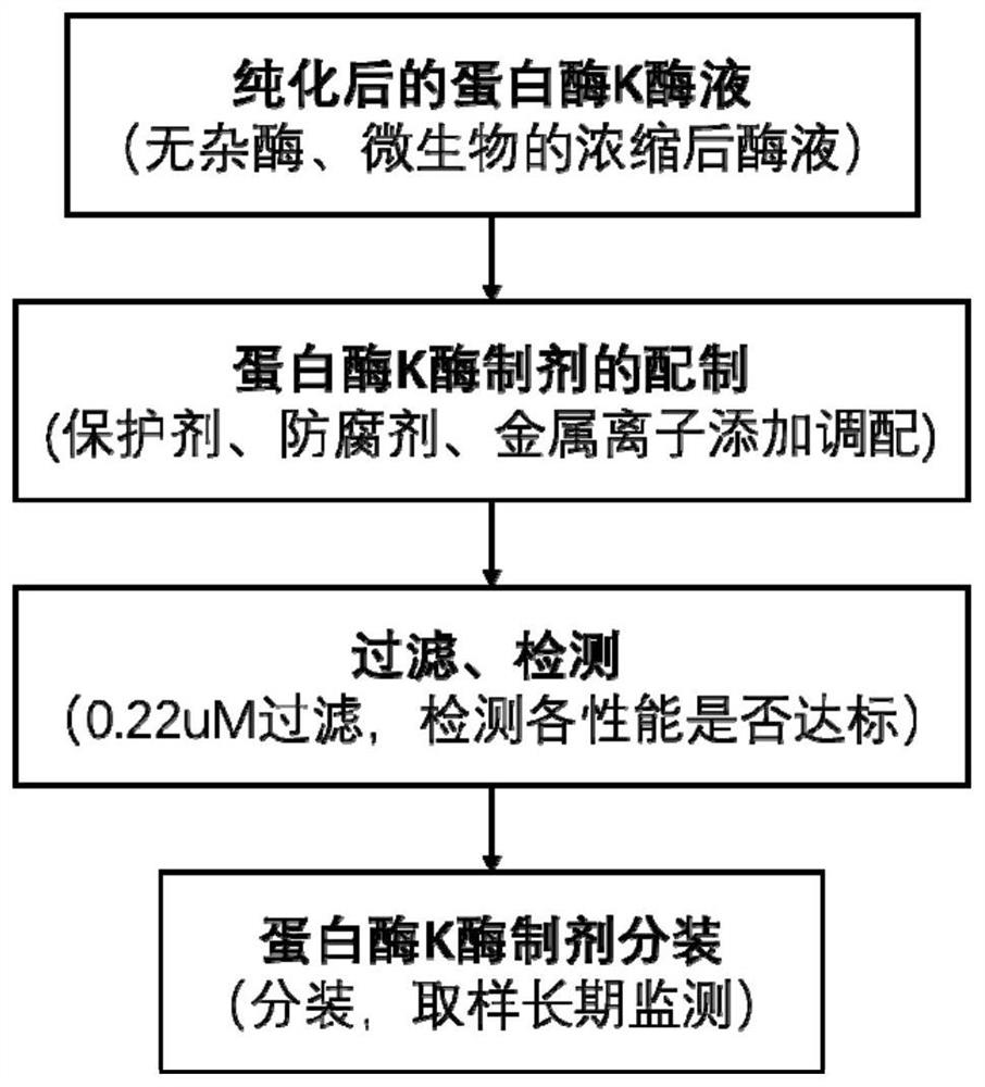 Protease k liquid enzyme preparation for molecular biology and in vitro diagnostics