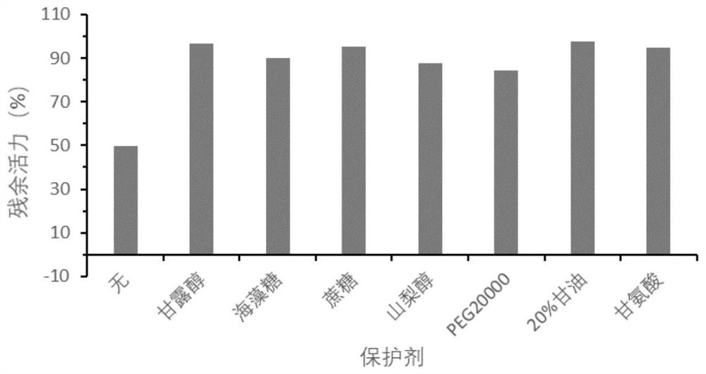 Protease k liquid enzyme preparation for molecular biology and in vitro diagnostics