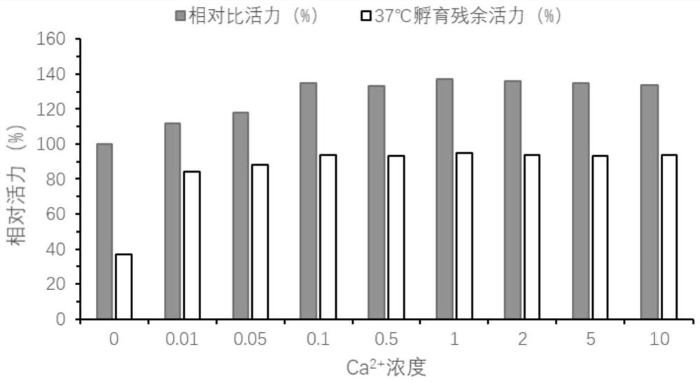 Protease k liquid enzyme preparation for molecular biology and in vitro diagnostics