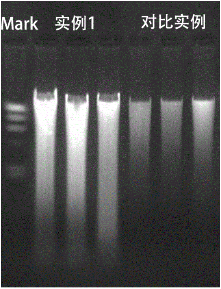 Extracting method of total DNA of microorganisms in intestines of earthworms