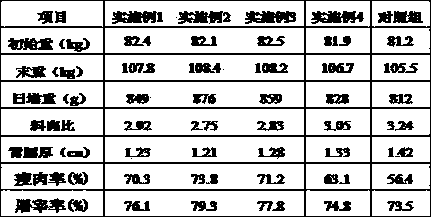 Green feed additive for pigs for increasing lean meat percentage