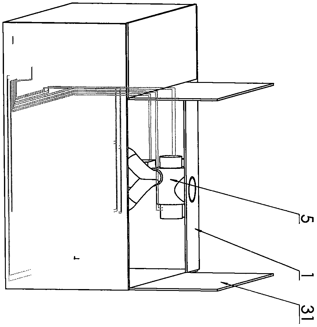 Automatic shoe nursing device