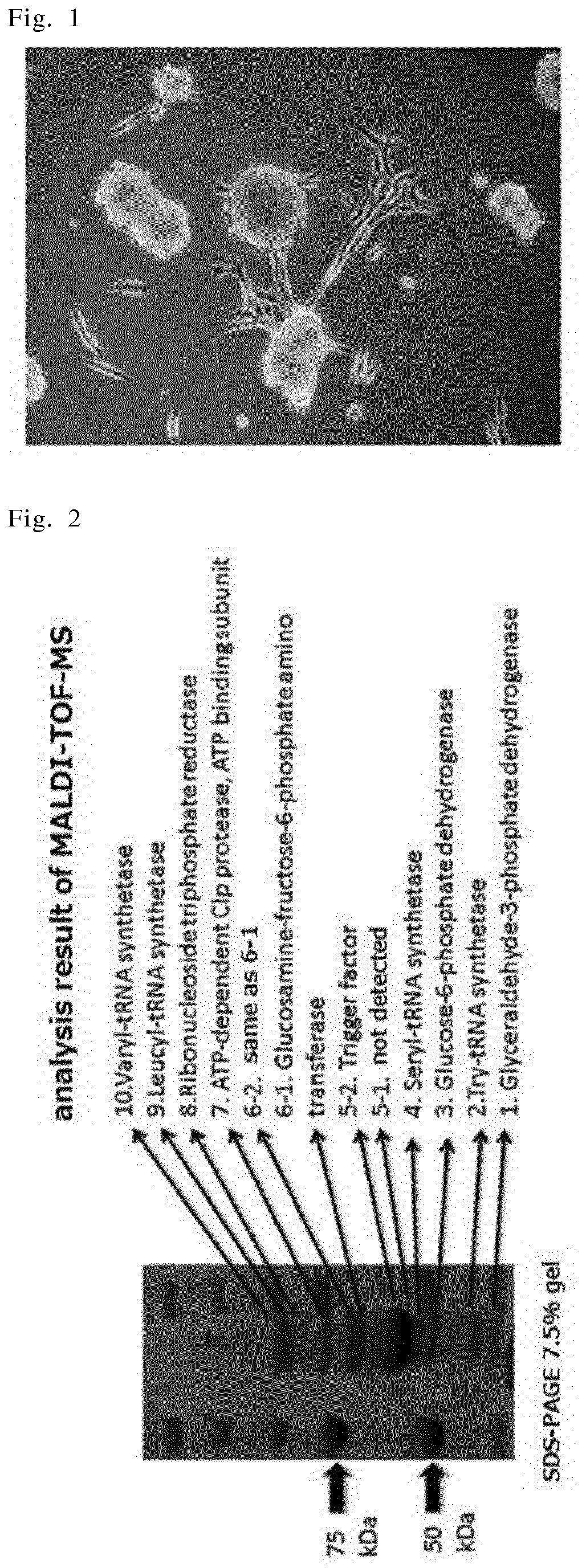EP3144384B1 patent drawing